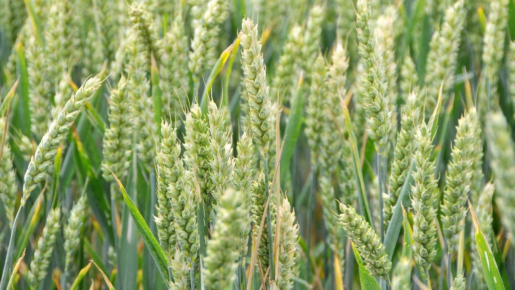 CPA will not be taking a position on the EU Referendum question