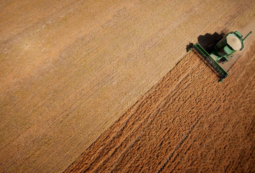 More than 20% of the 192 samples tested contained more than four mycotoxins