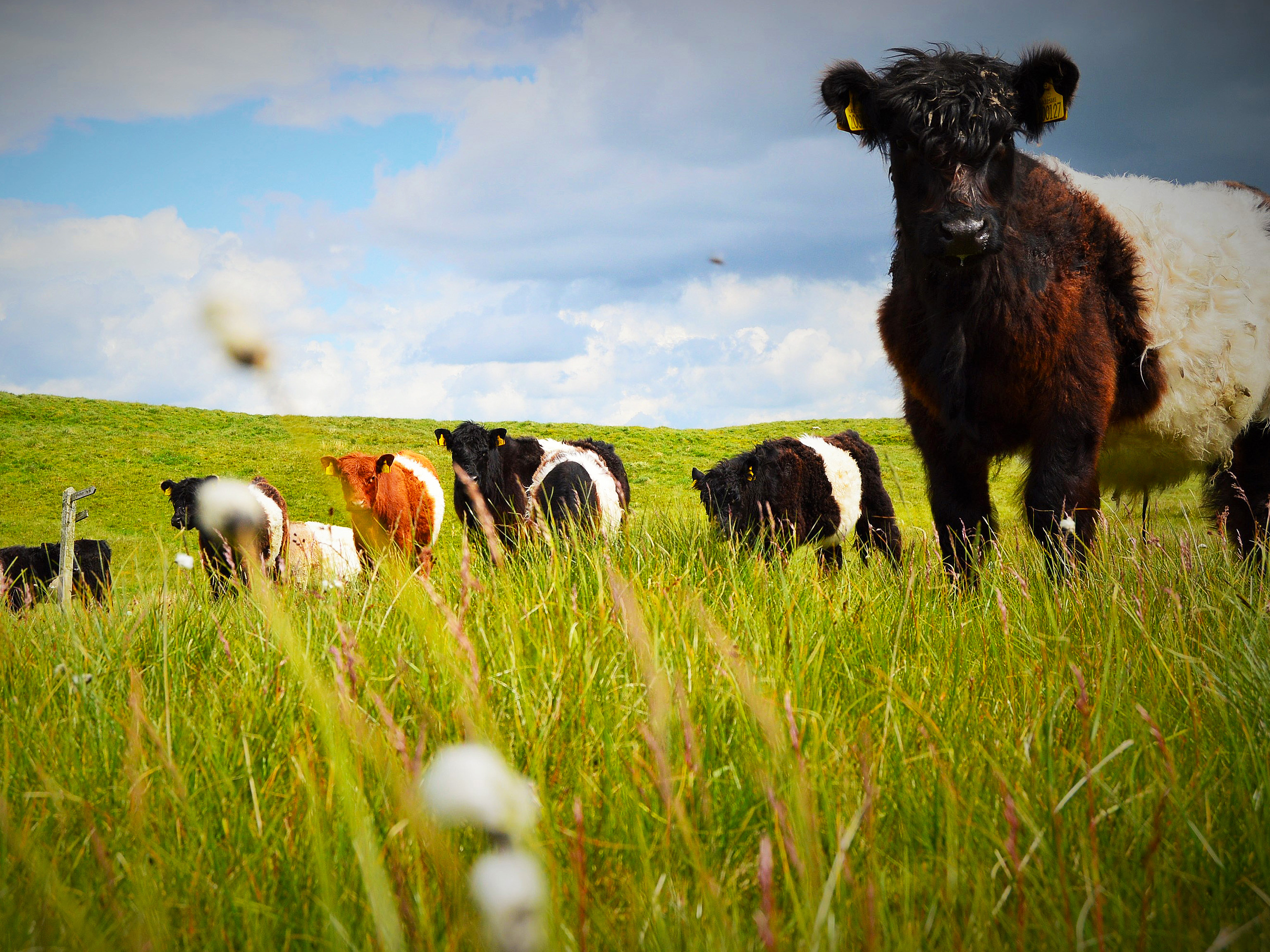 One of the measures is for farmers to get a better return for their produce