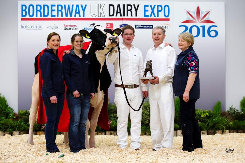 2016 Borderway UK Dairy Expo Champion
