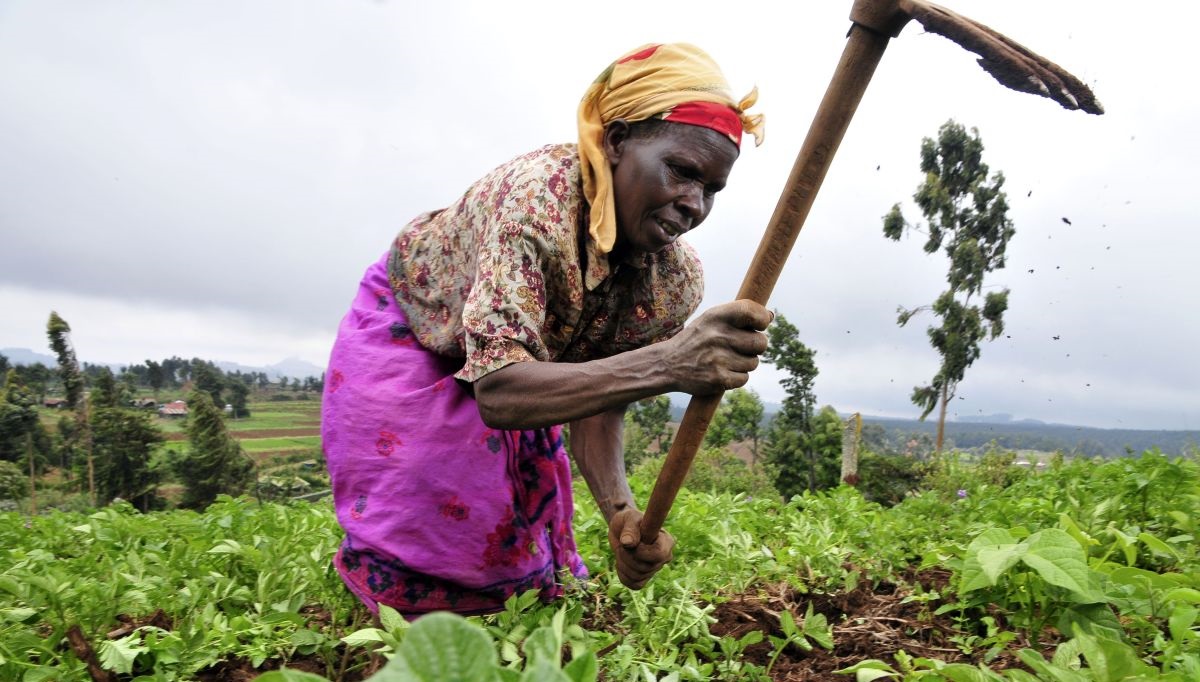 UK charity, Marshal Papworth, is educating individuals from developing countries in sustainable agricultural techniques