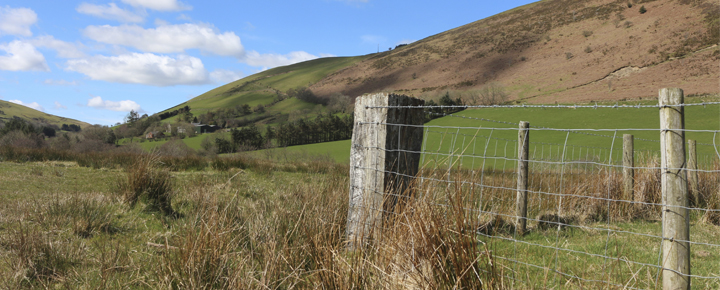 Police ask people in rural communities to keep an eye out for unfamiliar vehicles loading livestock at unusual times