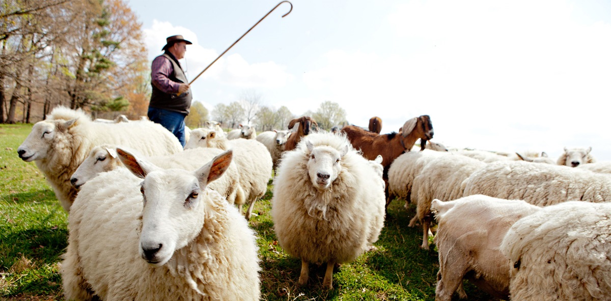 Applications are invited throughout Wales to enter the competition