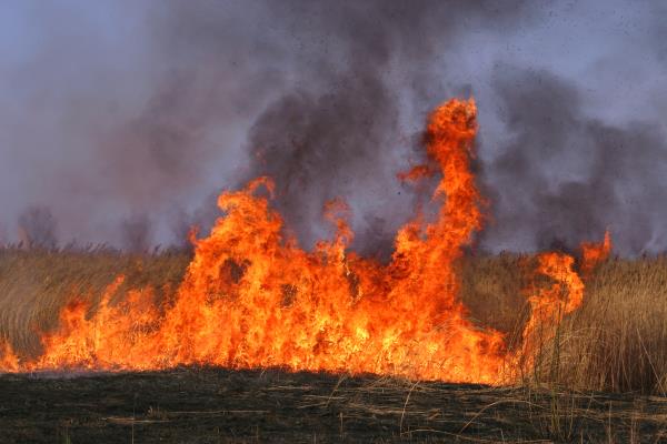 Strict guidelines are in place when burning