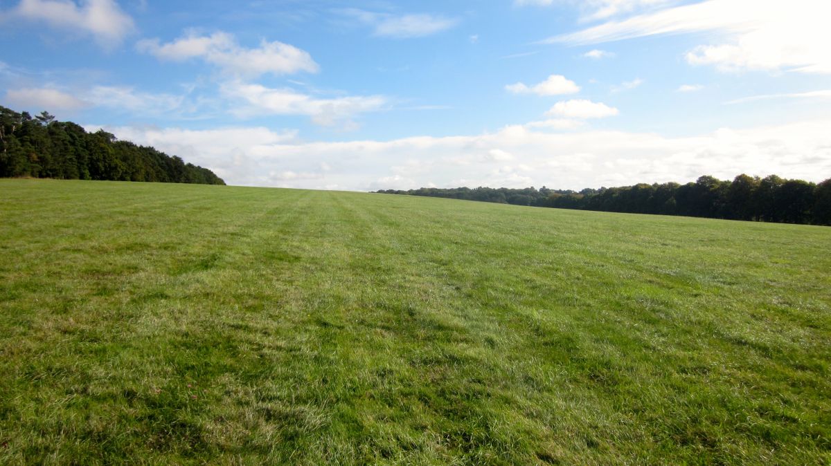 The best way to assess the state of the soil is by 'physically digging a hole'