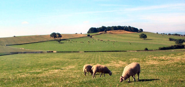 Farmers are struggling following a difficult winter