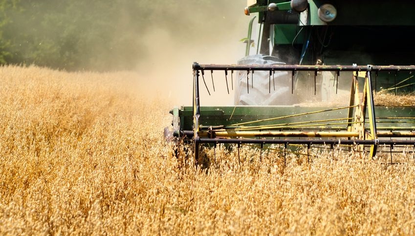 FAO welcomes resolution as a leap forward in galvanising international action on nutrition