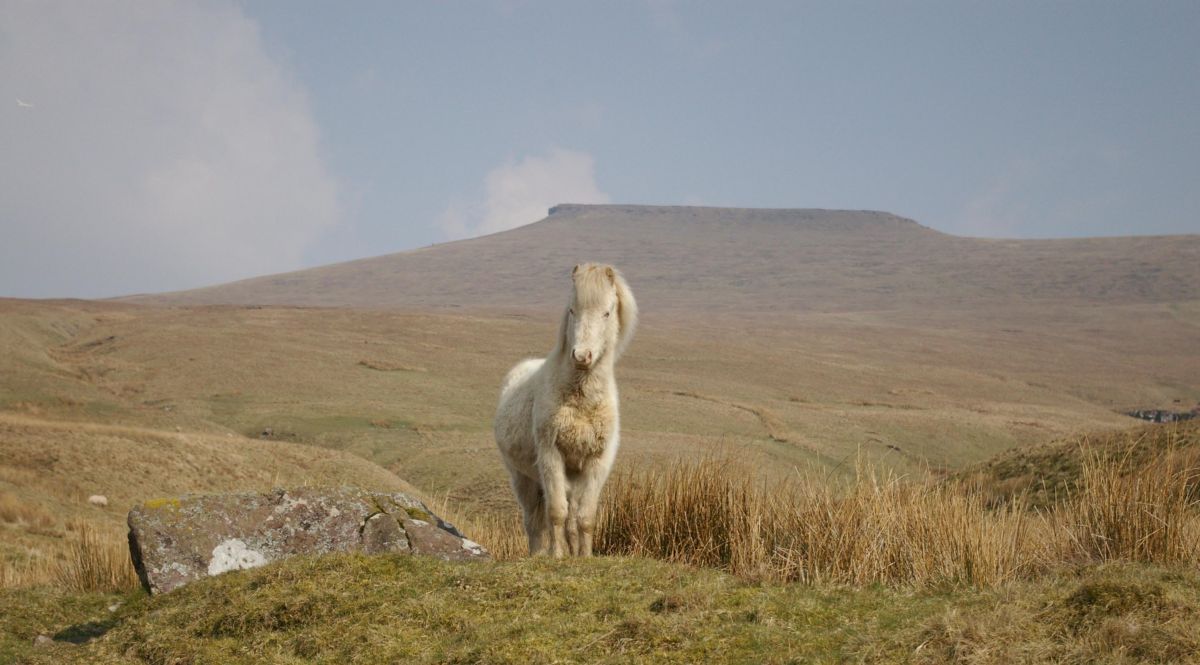 Brecon Beacons National Park