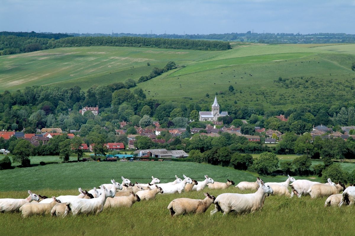 Brexit would 'go against a worldwide trend to more open agricultural trade'