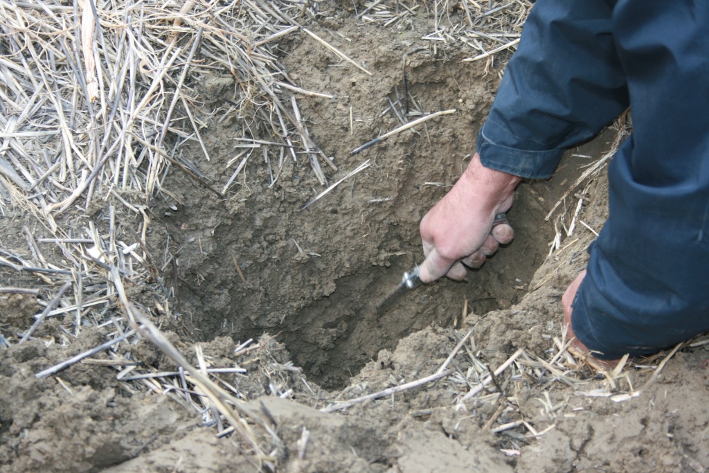 Soil pit inspection