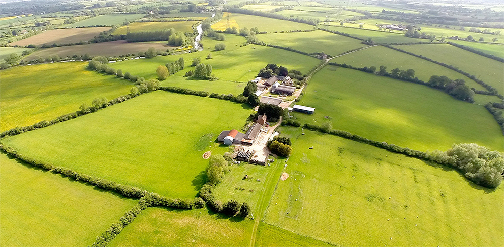 The report, published by the European Commission, found young farmers struggle to buy or rent land