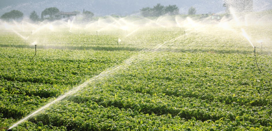 A Defra consultation called 'Changes to water abstraction licensing exemptions: New Authorisations', closes today