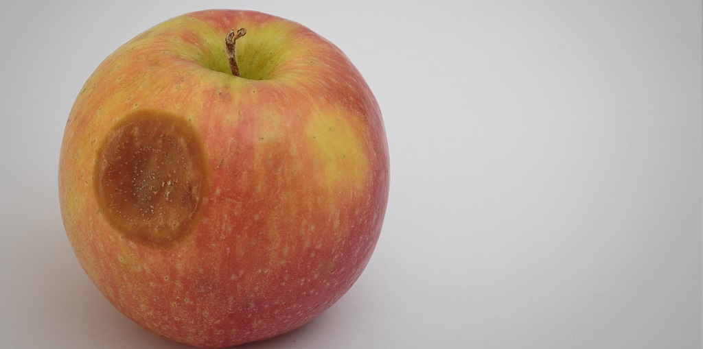 Fruit that is old or bruised is perfect to make a delicious smoothie or compote