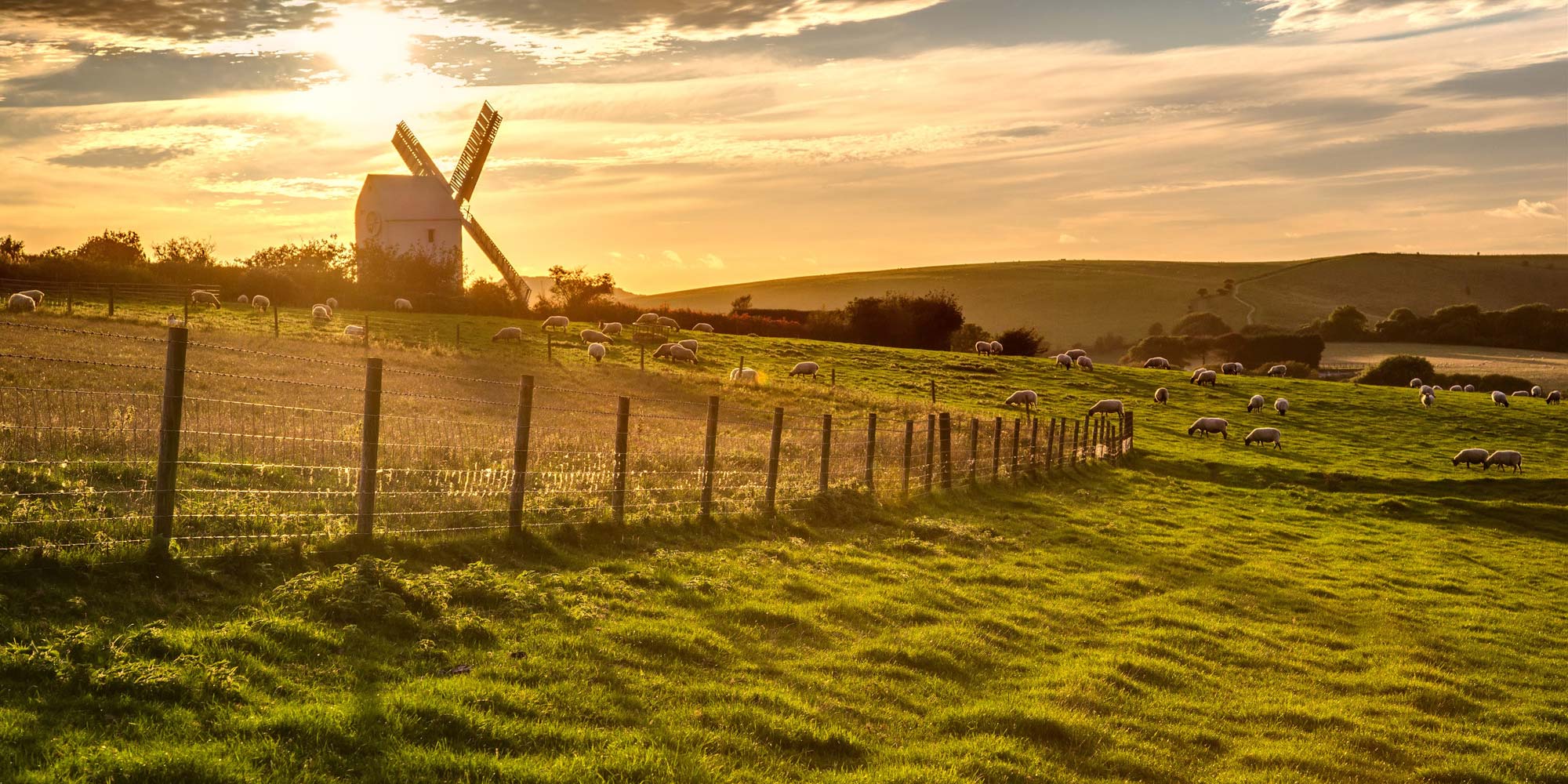 Without the necessary uptake by farmers this new scheme will not work, the NFU Says