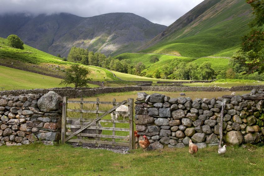 Investment, jobs & the environment will be put at risk without assurance from Government, the CLA says