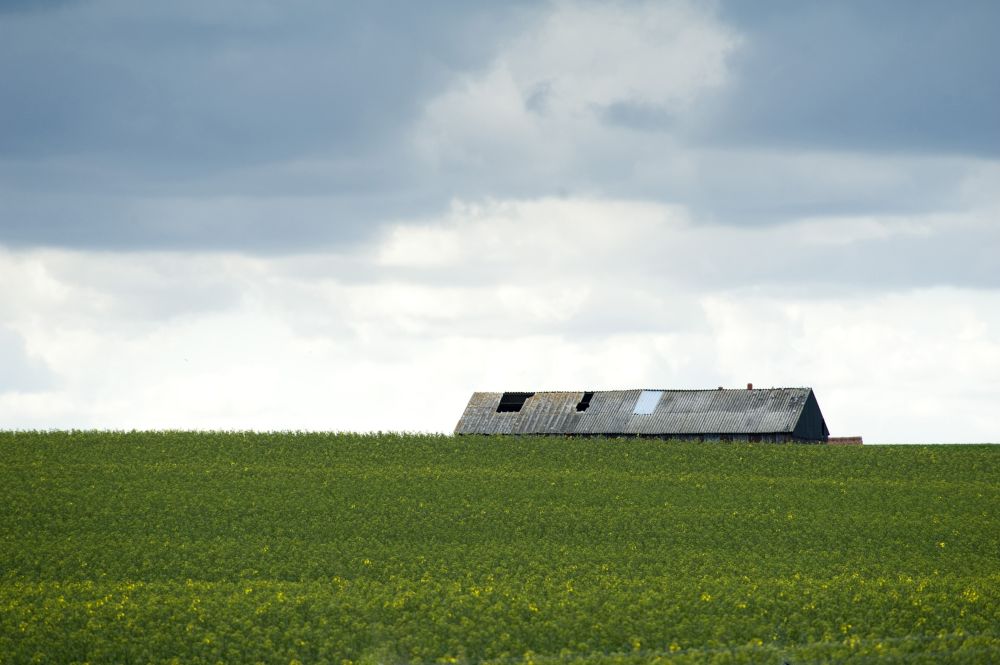 'Granting new permitted development rights vital to securing rural growth', said the CLA