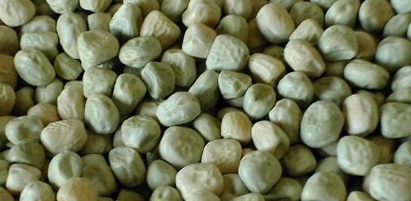 Participants highlighted how pulses offer exceptional nutritional inputs to human diets