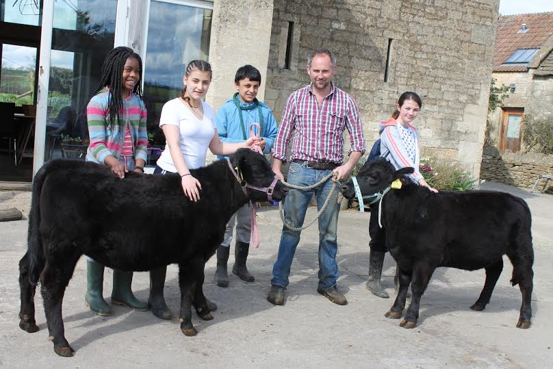 Wessex Lowlines dontes two calves to farm charity