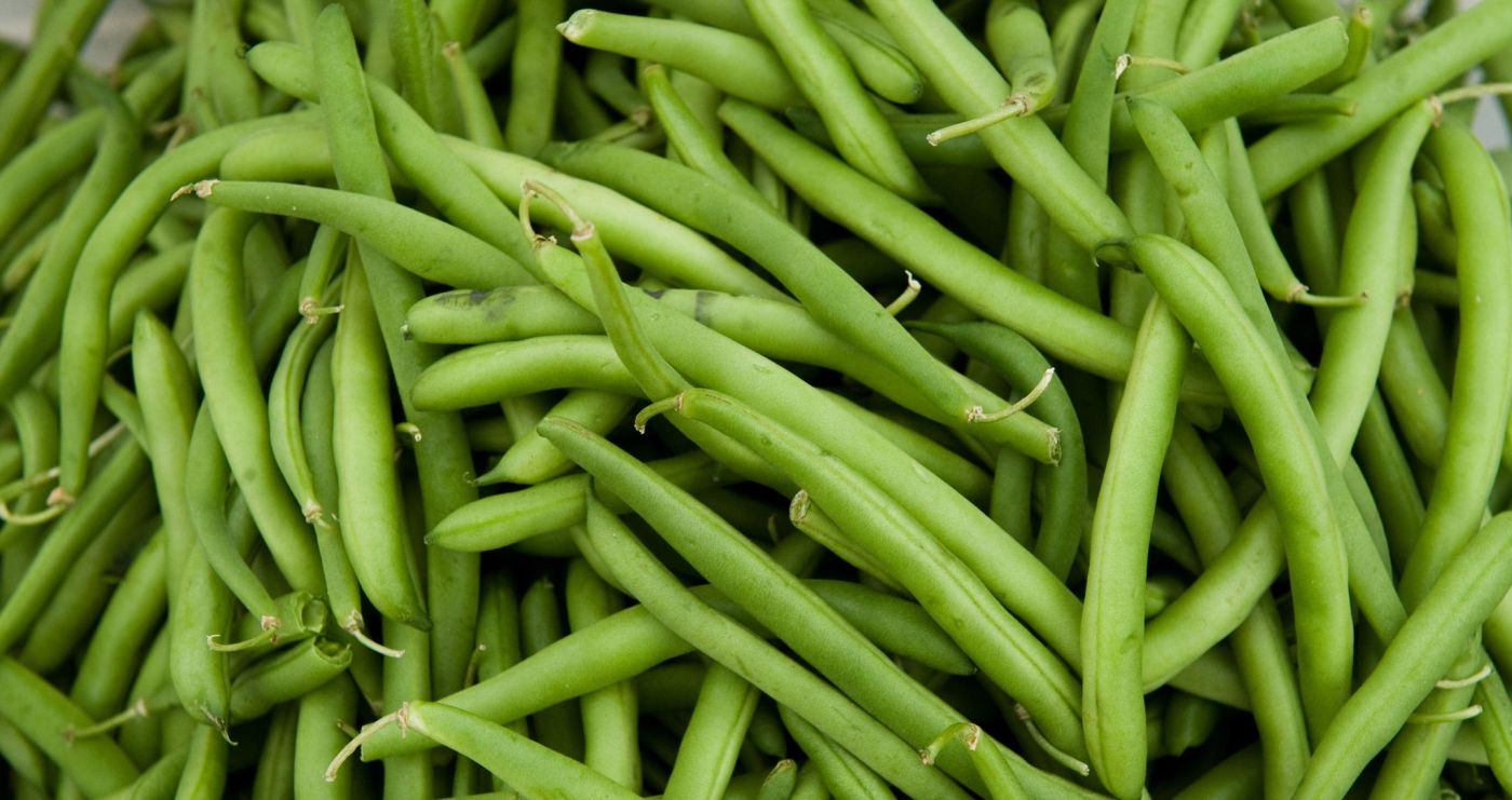 New initiative will save 135 tonnes of edible fine bean crop from going to waste each year