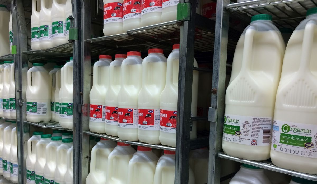 Milk and dairy foods are known to make the biggest contribution to iodine in the UK diet
