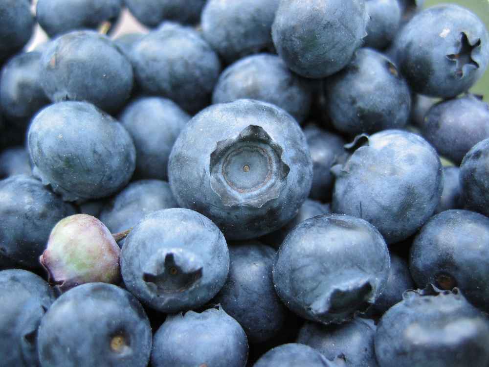 The healthy image of berries has definitely done its bit to spur consumption (Photo: Scott Schopieray)
