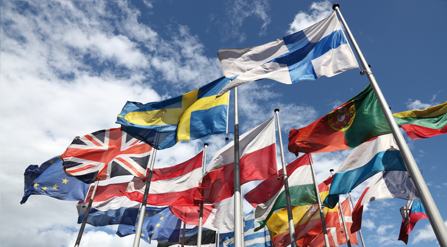 The TFA has decided to publish a draft, post-EU agricultural policy for consultation to assist the debate