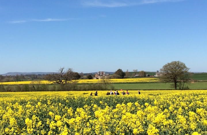 Cardiff biology students venture onto an oilseed farm to study agriculture in more detail
