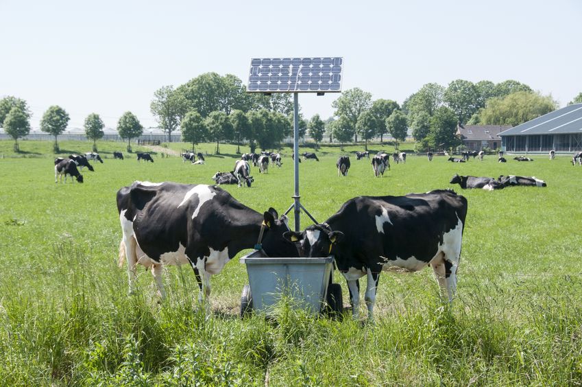 Solar, no matter how big or small, can give real benefits to farms