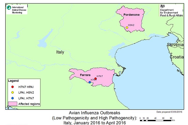 Avian influenza outbreaks in Italy