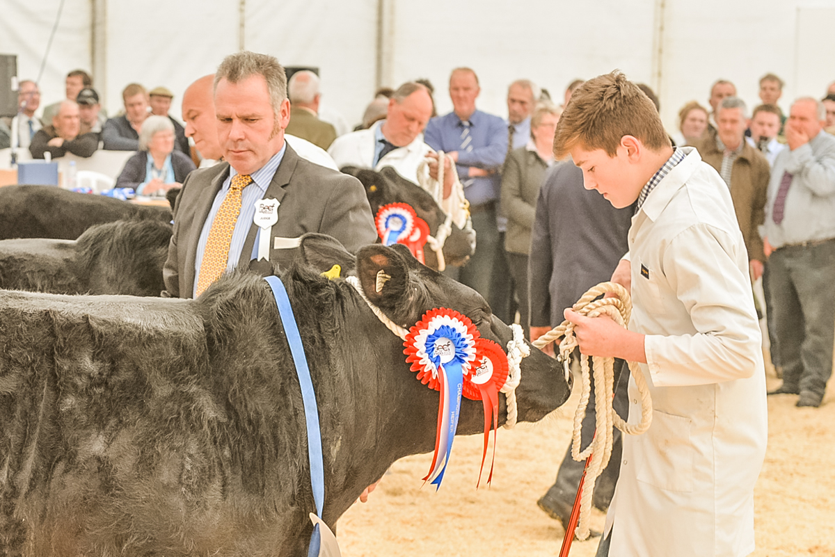 Thousands of people expected to descend on Bakewell to attend the British beef industry’s major annual event