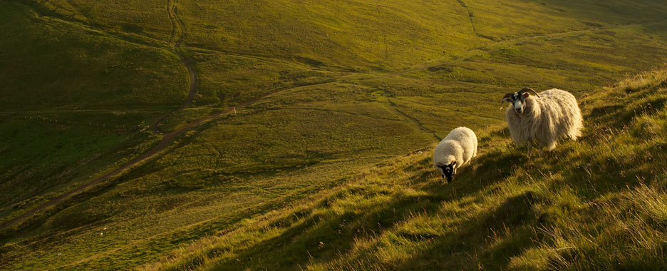 Map problems prompt Scottish farmers to ask for a deadline extension