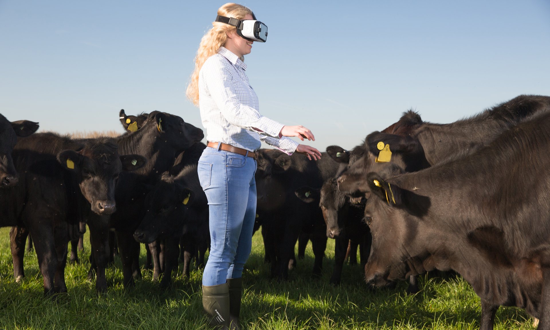 Fast food chain plans roadshow of agricultural shows around UK to connect consumers with modern farming realities
