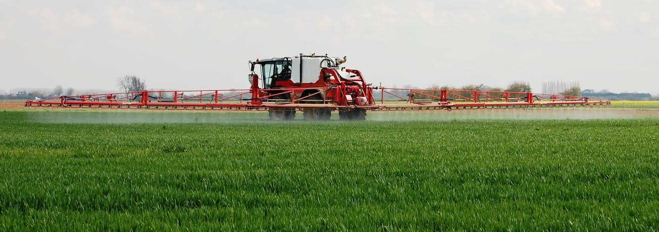 A resurgence of septoria and yellow rust in wheat crops has heightened the need for a robust and well-timed flag leaf spray