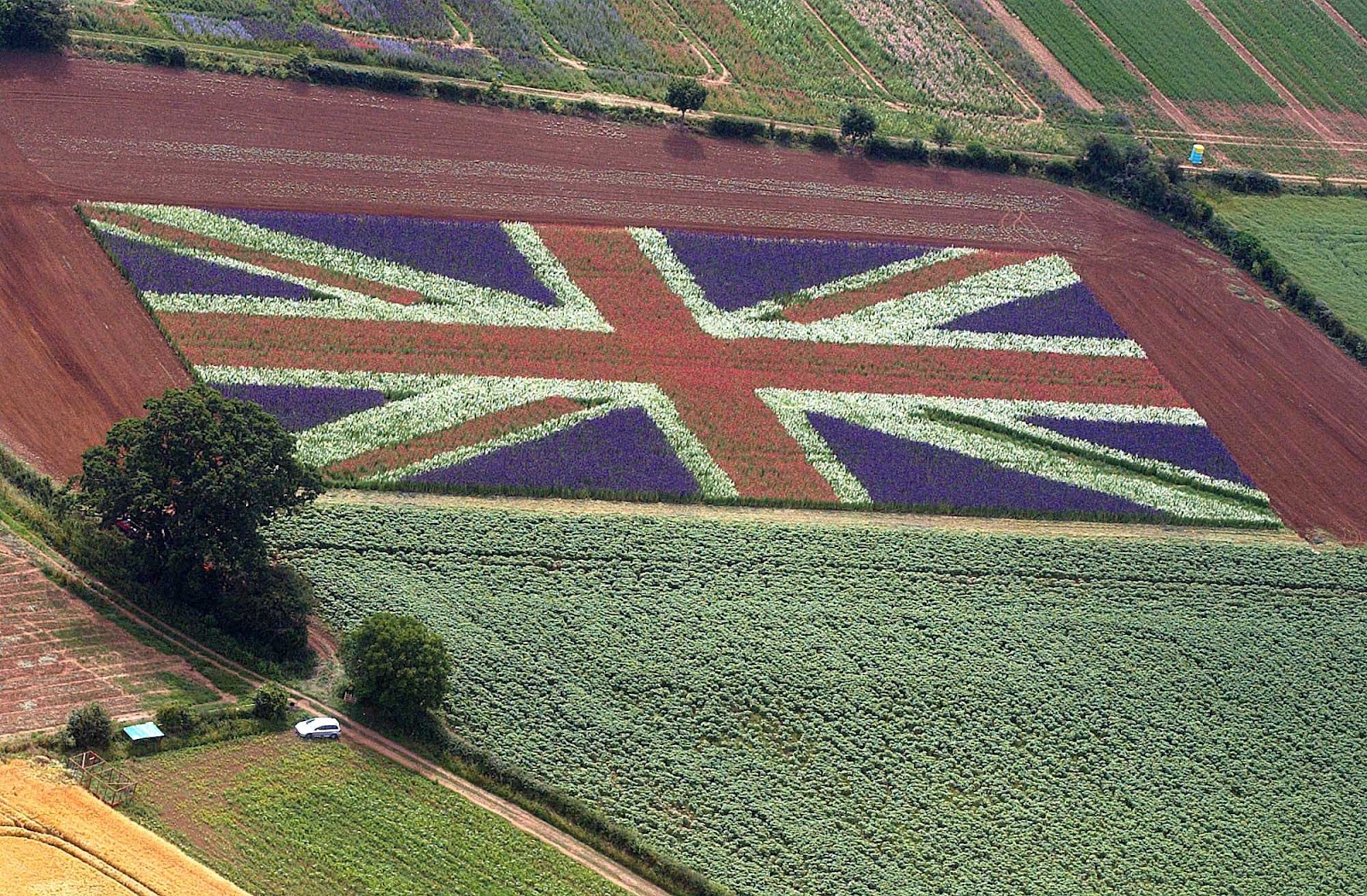 The EU referendum is a hot topic in the farming community, with opinion split
