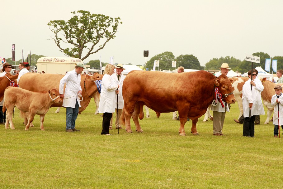 Royal Cheshire County Show