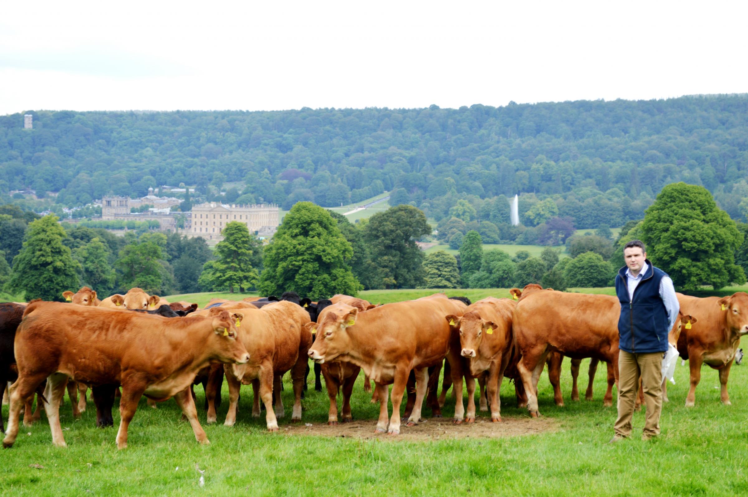 "What is becoming ever clearer is that consumers do want to know more about where their food comes from and how it is produced"