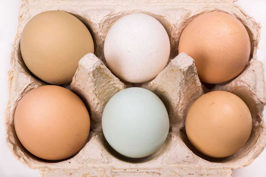 Eggs are increasingly being chosen for health and convenience reasons