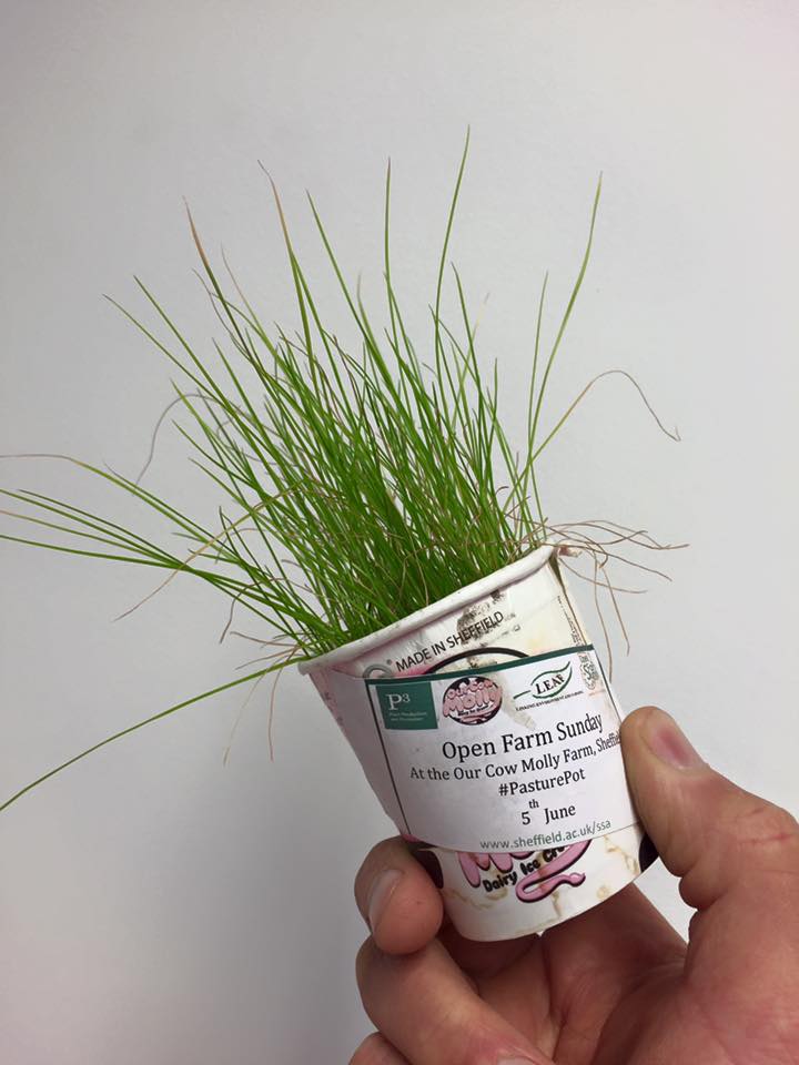 Customers are enocuraged to grow a Pasture Pot for Open Farm Sunday
