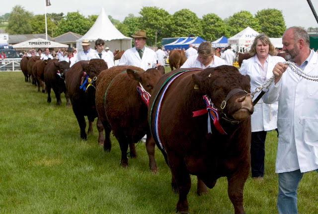 The Royal Bath and West Show takes place from 1-4, 2016, at the Bath and West Showground, Shepton Mallet, Somerset