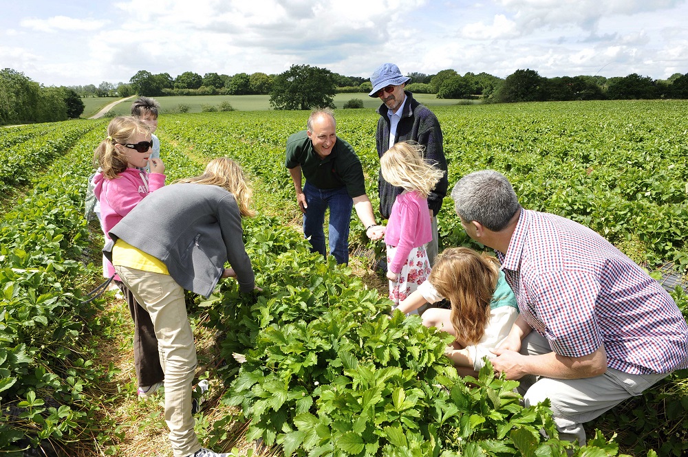 Open Farm Sunday is a great opportunity for farmers to open their gates and welcome visitors