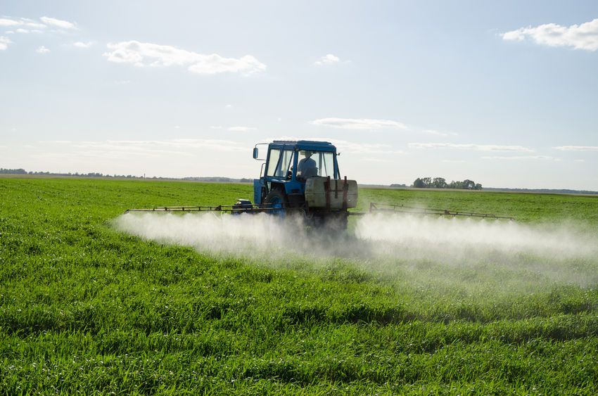 Glyphosate is an active substance widely used in herbicides