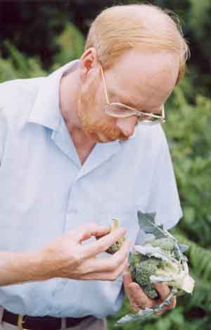Chris Wallwork
