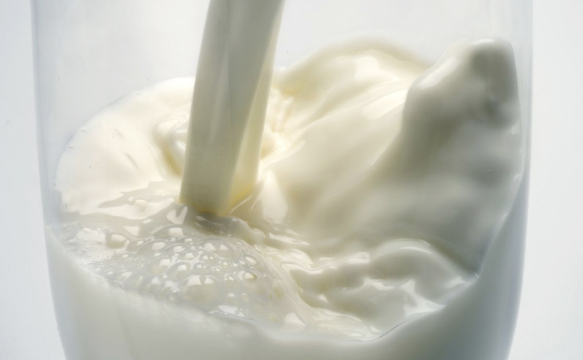 Milk and dairy contribute some key nutrients at specific life stages
