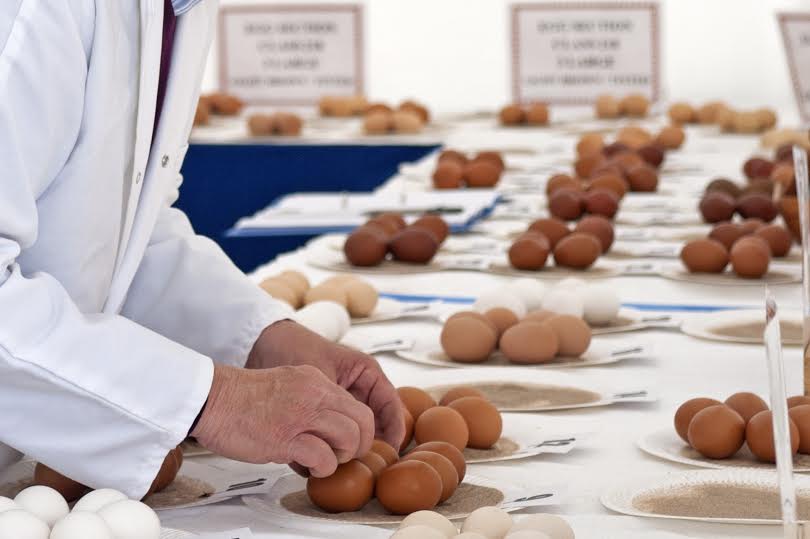 The Royal Cheshire County Show’s award-winning Poultry and Egg shows have received the highest recognition possible from the UK’s governing body