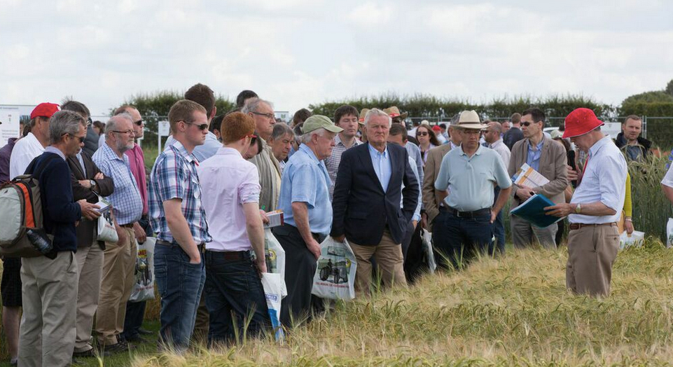 Onlookers at the Cereals 2015