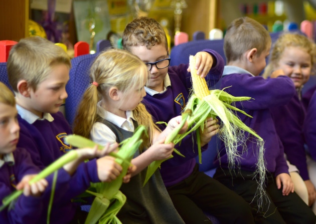 The aim is to help the children make the link between farming and the food