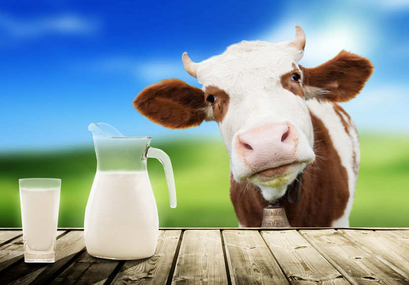 Since 2001, when the first World Milk Day was proposed by the UN's FAO, June 1st has become the day which all aspects of milk are celebrated worldwide
