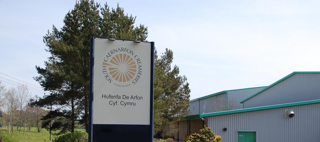 South Caernarfon Creameries is Wales’ largest and oldest farmer-owned dairy co-operative with around 130 member supplier farmers