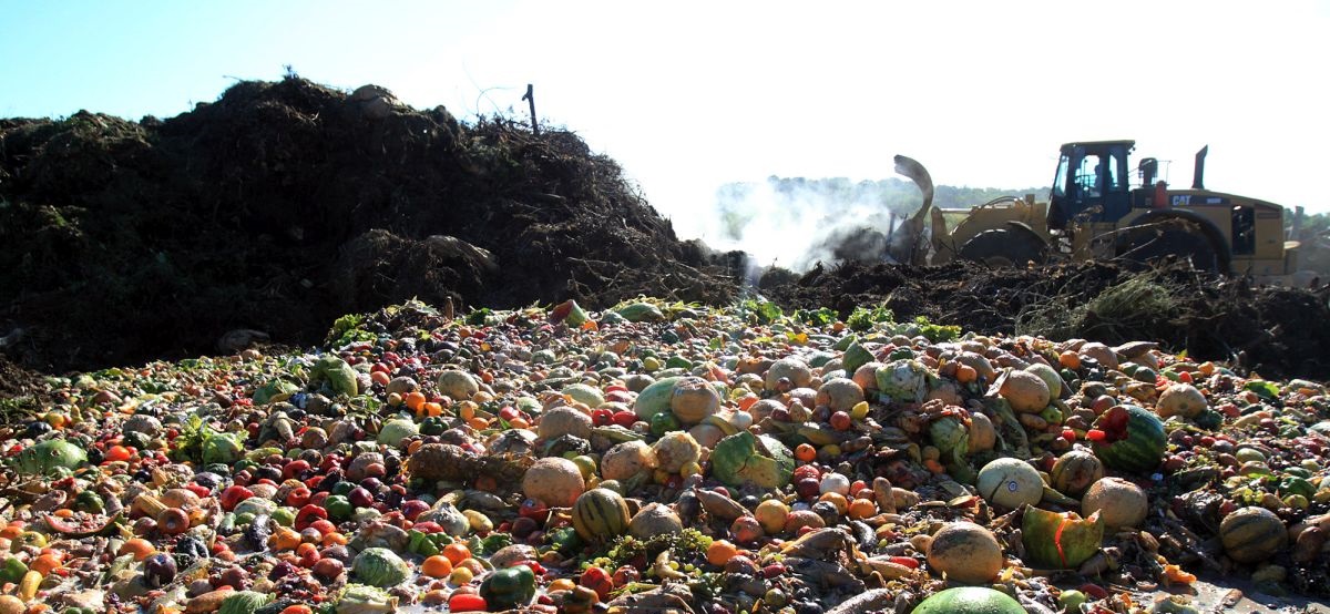 The plan includes cutting the amount of food that goes to waste