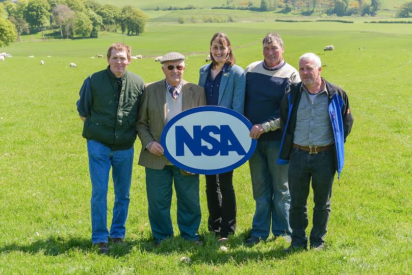 The NSA aims to ensure that it plays a key part in every aspect of the sheep farming sector
